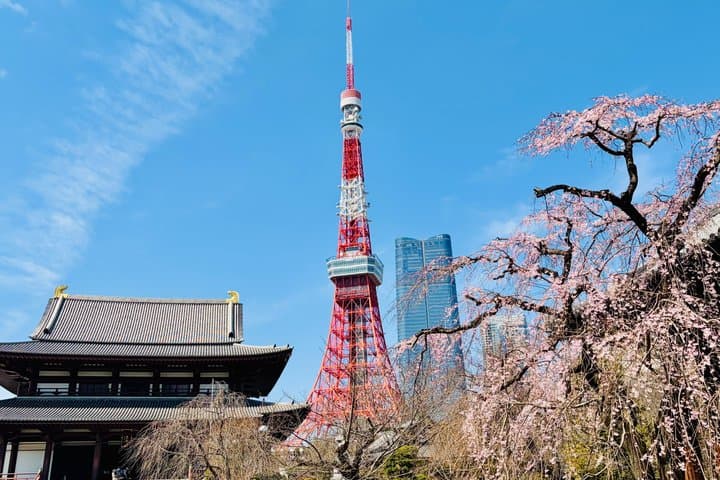Tokyo Private Half-Day Highlights Tour by Car with Guide — photo 8