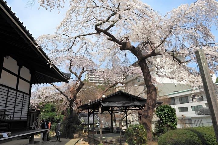 Private Kobe Tour with Arima Onsen and Mt Rokko Sightseeing — photo 8