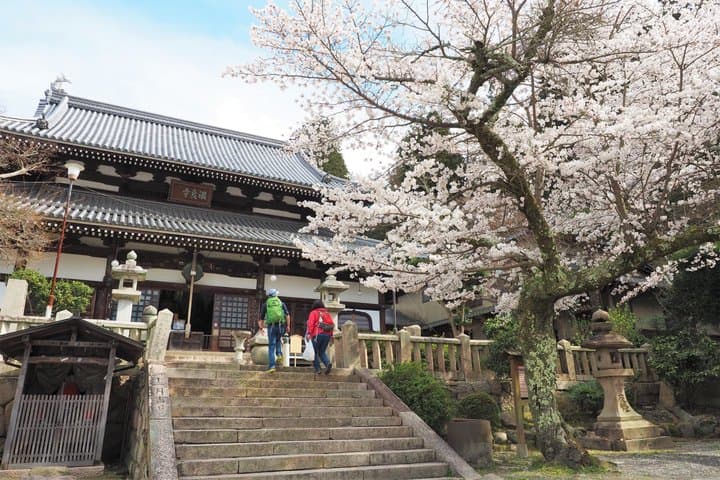 Private Kobe Tour with Arima Onsen and Mt Rokko Sightseeing — photo 3