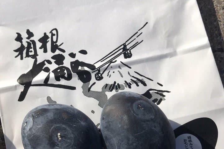 Mount Fuji, Hakone, Owakudani, Chureito Pagoda and Oshino Hakkai — photo 14