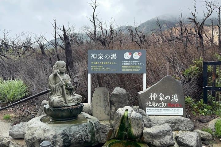 Mount Fuji, Hakone, Owakudani, Chureito Pagoda and Oshino Hakkai — photo 18