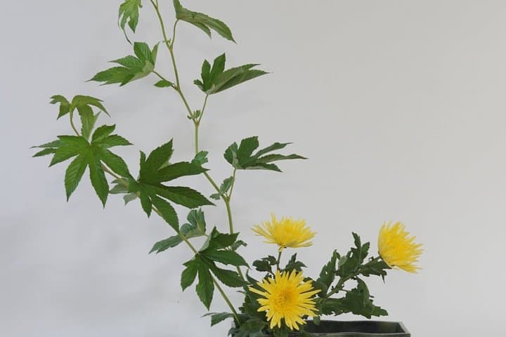 Contemporary Ikebana Art Workshop at Ganko Ji Temple Studio — photo 3