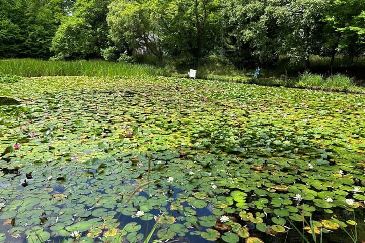 Hokkaido University Tracing Back Modern Japan by Walking — photo 6