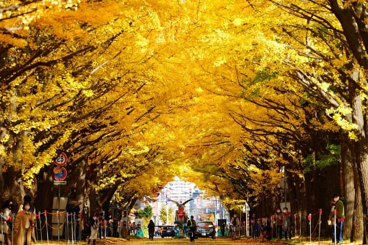 Hokkaido University Tracing Back Modern Japan by Walking — photo 5
