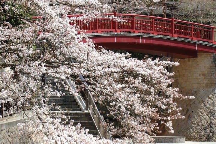 Private Kobe Tour with Arima Onsen and Mt Rokko Sightseeing — photo 10