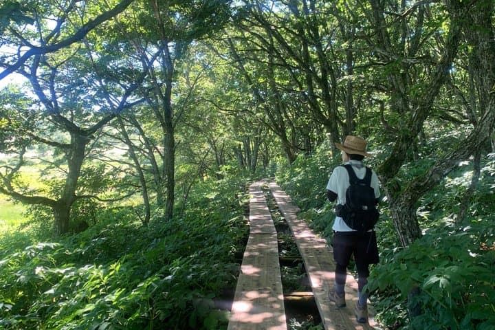 Private Guided Kirigamine Tour in Nagano: Marsh Walk & Lunch — photo 3