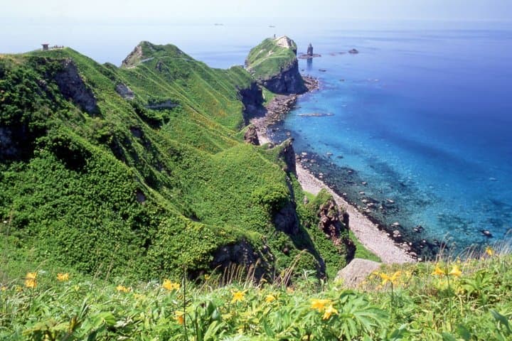 Hokkaido Day Tour in Cape Kamui and Shiroi Koibito Park — photo 4