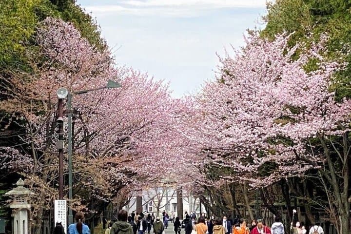Hokkaido Day Tour in Cape Kamui and Shiroi Koibito Park — photo 16