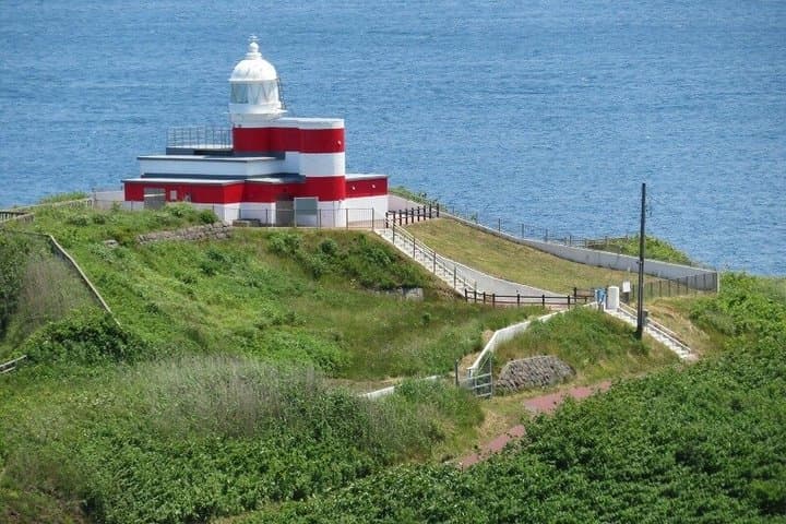 Hokkaido Day Tour in Cape Kamui and Shiroi Koibito Park — photo 7