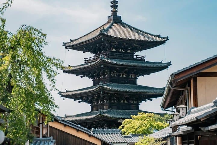 Kyoto & Nara customizeable Luxury Private Day Tour Driver Guide — photo 5