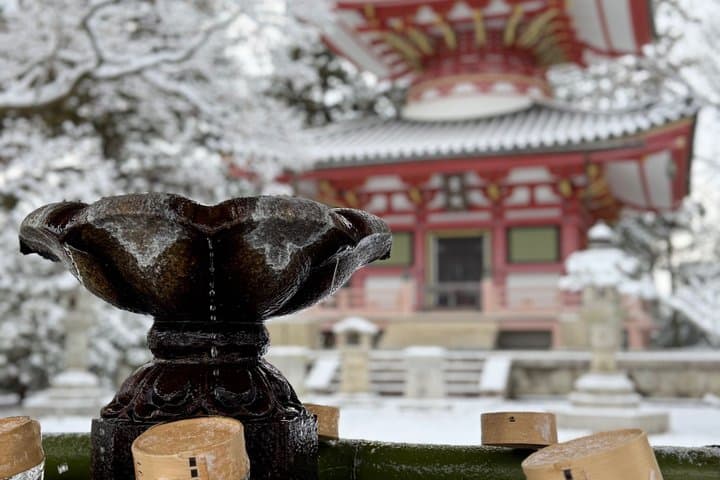 Kyoto Morning Walking Tour Temples Shrines and Local Life — photo 8