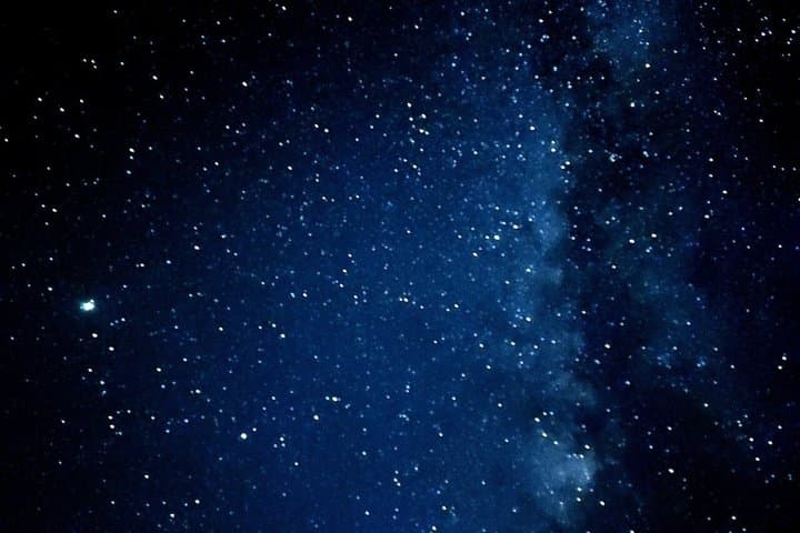【Okinawa・Ishigaki Island】Night Diving Tour — photo 9