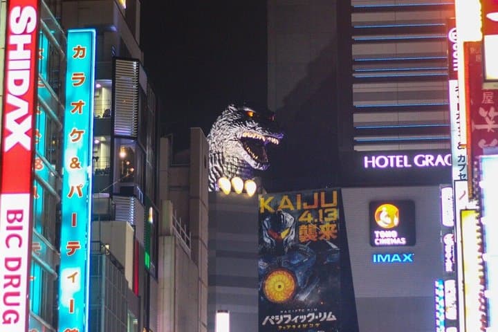 Tokyo Private Night Tour by Van English Chauffeur — photo 3