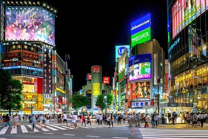 Tokyo Private Night Tour by Van English Chauffeur — photo 5