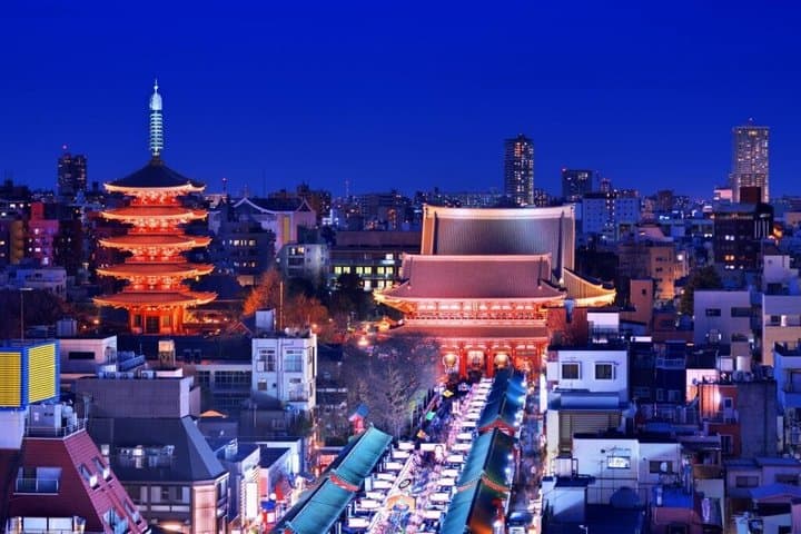 Tokyo Private Night Tour by Van English Chauffeur — photo 7