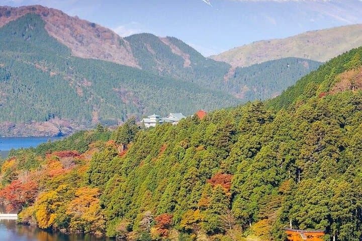 Hakone Tour Experience from Tokyo — photo 3