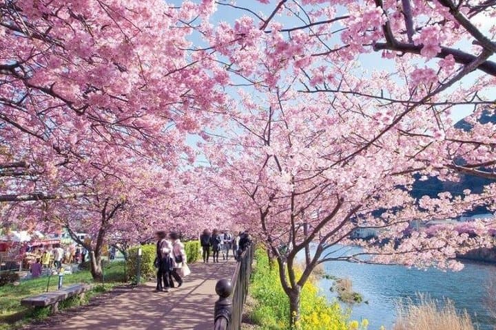 Hakone Tour Experience from Tokyo — photo 7