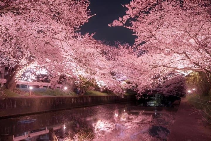 Hakone Tour Experience from Tokyo — photo 8
