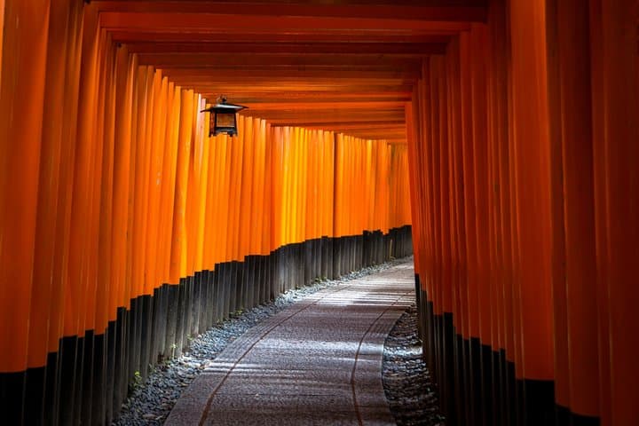 Kyoto Morning Tour Fushimi Inari Shrine and TeamLab Bio-Vortex — photo 3