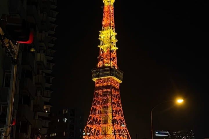 Tokyo 1 Day Private Tour from Cruise Port Walking Experience — photo 15
