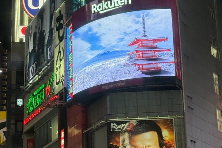 Tokyo 1 Day Private Tour from Cruise Port Walking Experience — photo 20