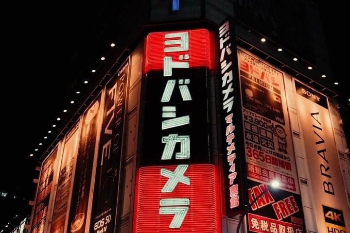 Tokyo 1 Day Private Tour from Cruise Port Walking Experience — photo 17