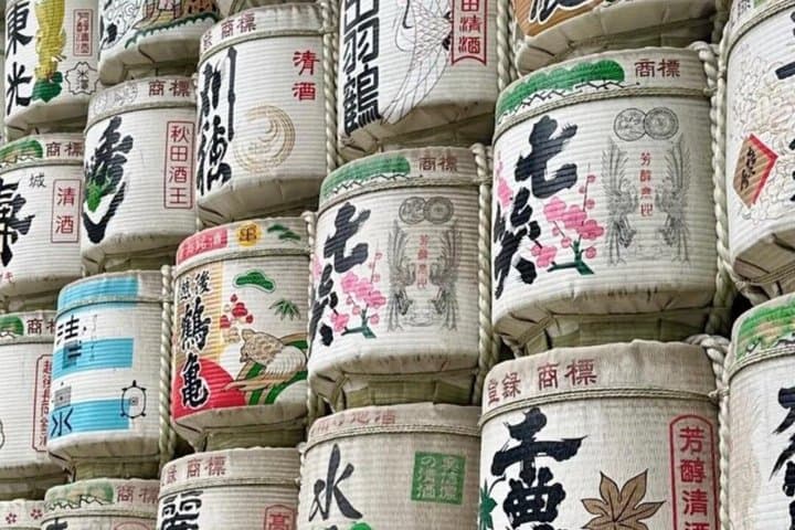 Tokyo 1 Day Private Tour from Cruise Port Walking Experience — photo 19