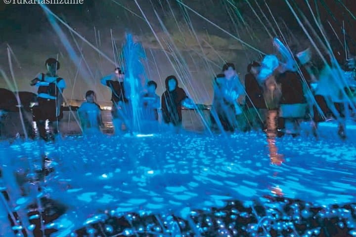 From Osaka: Awaji Island Blue Glow Sea Firefly Night Tour — photo 12
