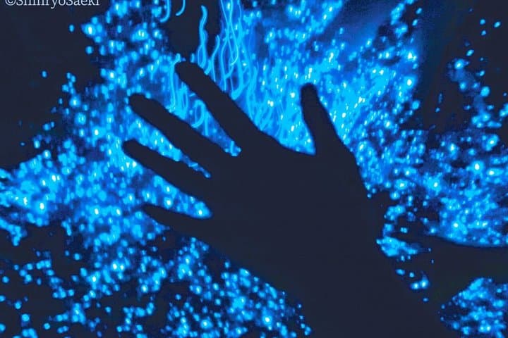 From Osaka: Awaji Island Blue Glow Sea Firefly Night Tour — photo 4