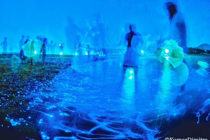 From Osaka: Awaji Island Blue Glow Sea Firefly Night Tour — photo 3