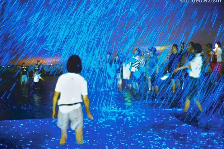 From Osaka: Awaji Island Blue Glow Sea Firefly Night Tour — photo 2