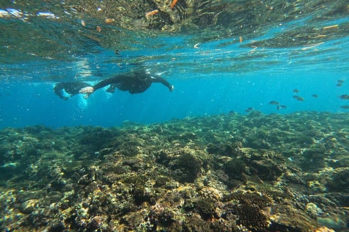 Private Snorkeling Tour at Blue Cave Okinawa — photo 4