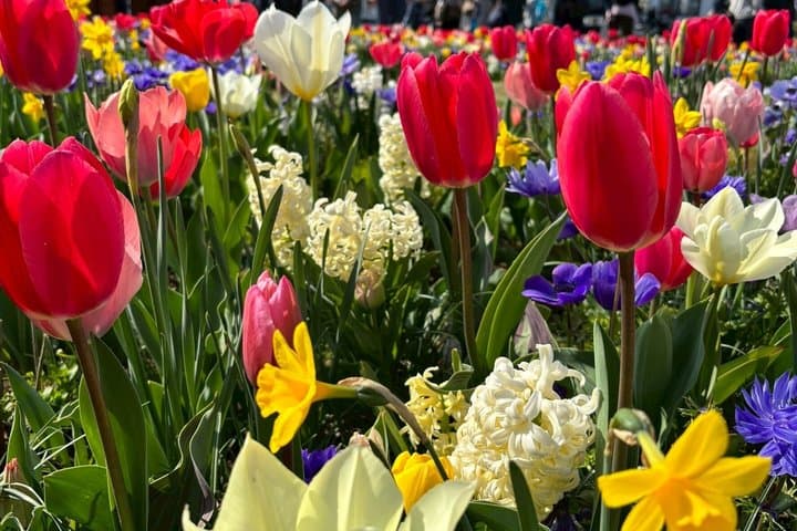 Yokohama Highlights Half-Day Walking Private Tour : — photo 11