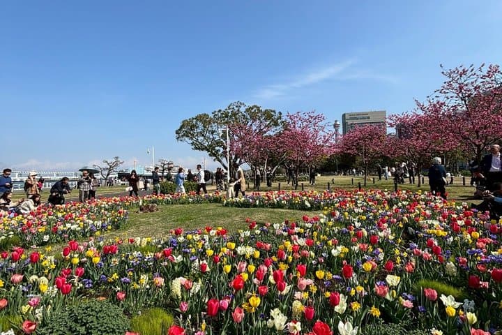 Yokohama Highlights Half-Day Walking Private Tour : — photo 2