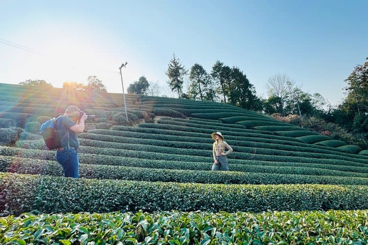 Uji and Wazuka Matcha Farm Half Day Private Guided Tour — photo 11
