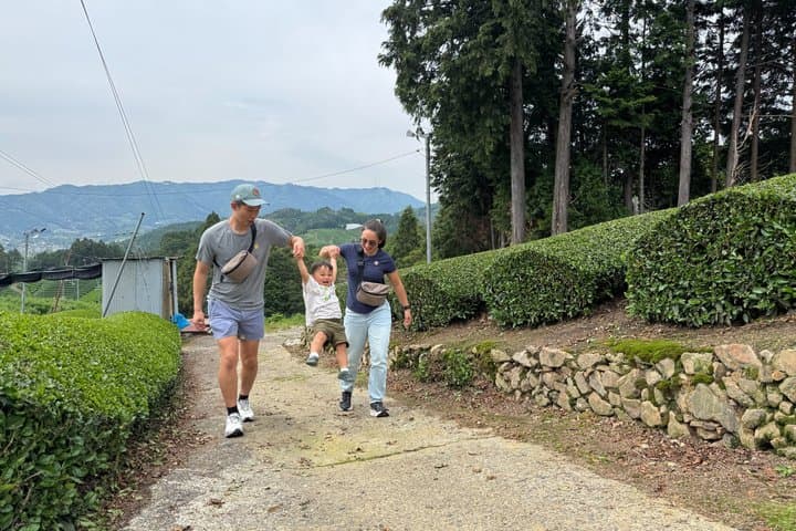 Uji and Wazuka Matcha Farm Half Day Private Guided Tour — photo 13