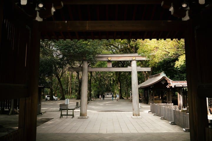 Harajuku and Meiji Jingu Cultural Walking Tour Tokyo — photo 4