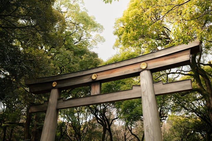 Harajuku and Meiji Jingu Cultural Walking Tour Tokyo — photo 9
