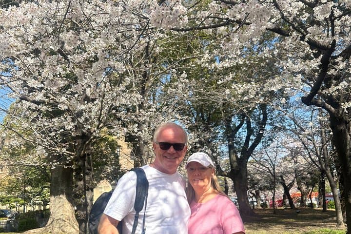 Nagoya Sakura Tour — photo 3
