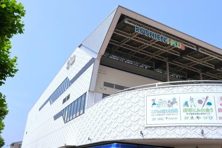 Hanshin Koshien Baseball Heritage Private Guide Tour — photo 9