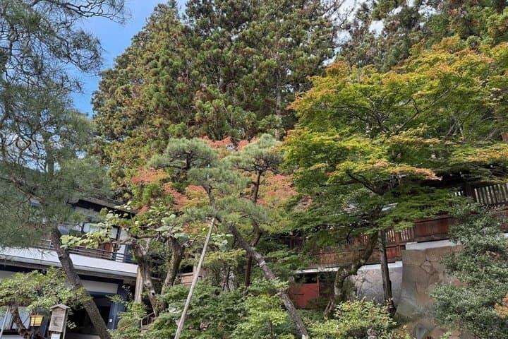 Takayama Private Custom Tour with Local Guide — photo 8