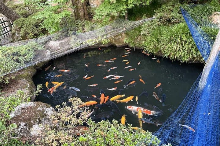 Takayama Private Custom Tour with Local Guide — photo 9