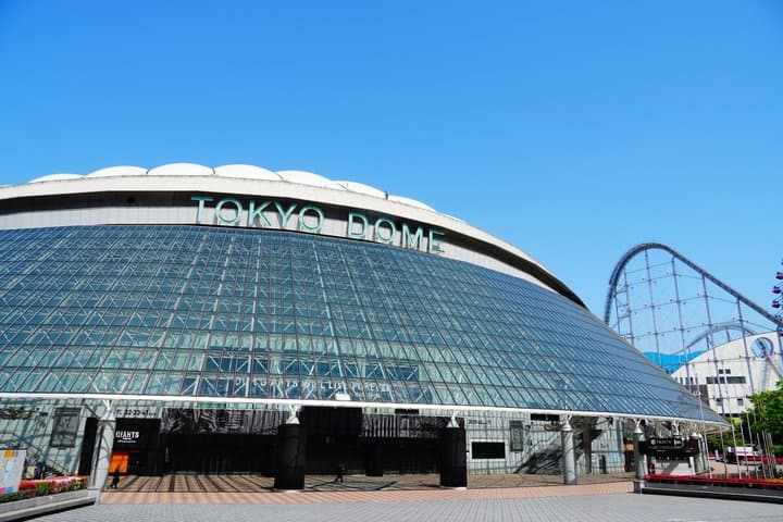 Tokyo Baseball Watching Guided Tour With Game Tickets — photo 1