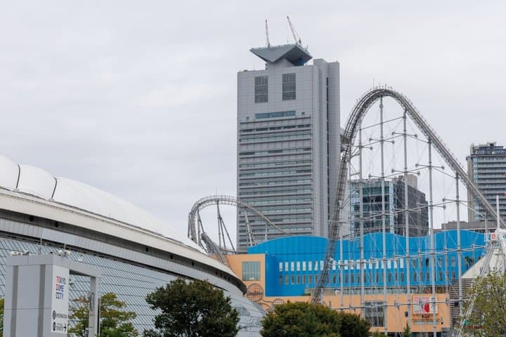 Tokyo Baseball Watching Guided Tour With Game Tickets — photo 6