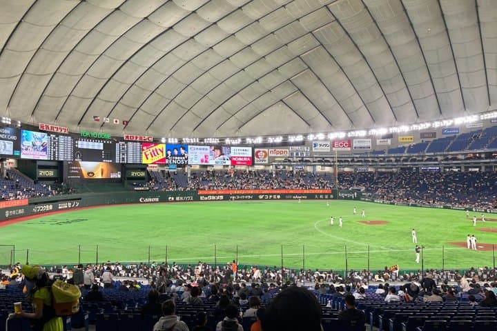 Tokyo Baseball Watching Guided Tour With Game Tickets — photo 2