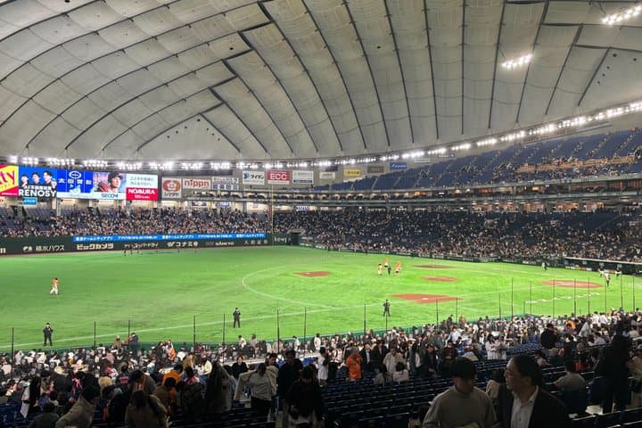 Tokyo Baseball Watching Guided Tour With Game Tickets — photo 3
