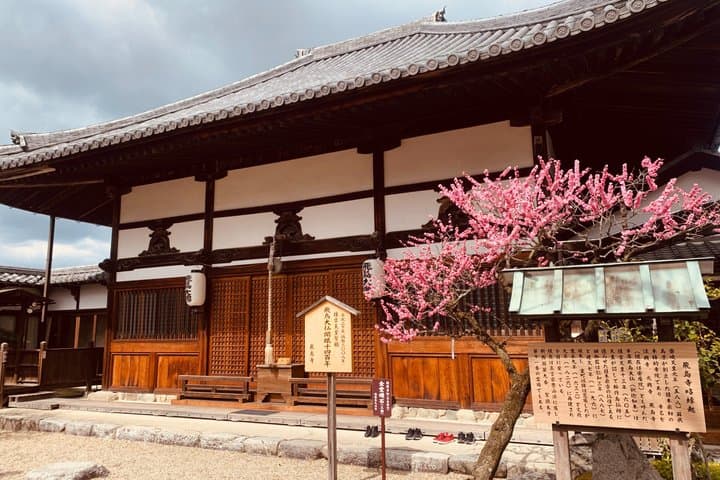 Asuka Nara Historical E-bike tour with English speaking guide — photo 8