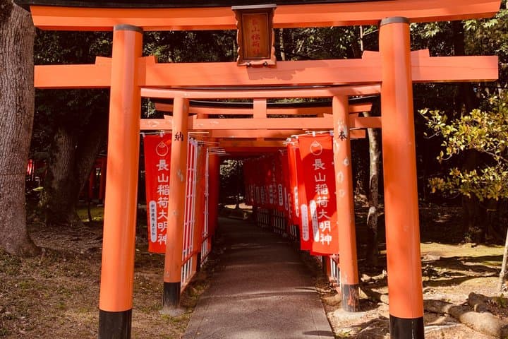 Asuka Nara Historical E-bike tour with English speaking guide — photo 7