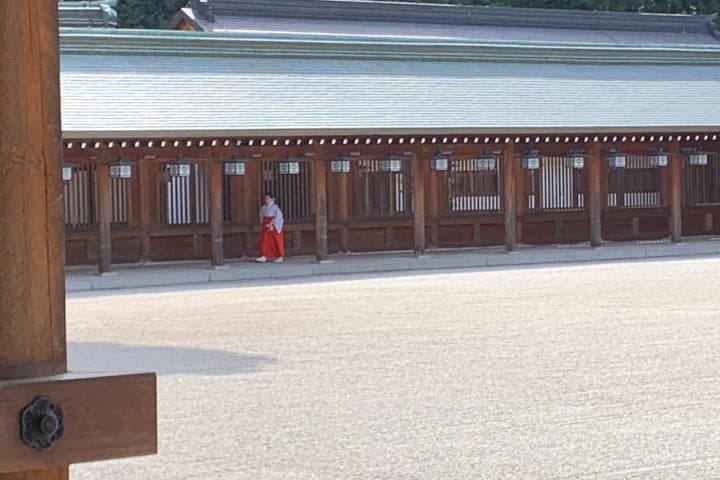 Asuka Nara Historical E-bike tour with English speaking guide — photo 6