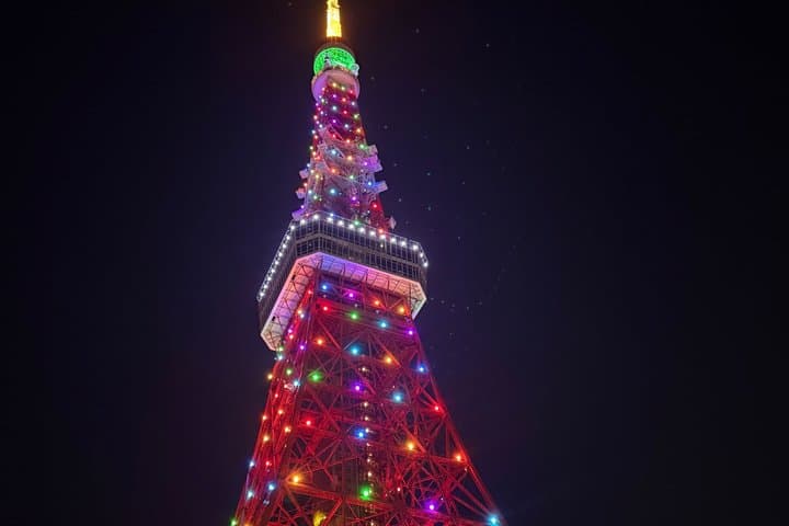 Tokyo Highlights Private Tour (Car Included) with English Guide — photo 11